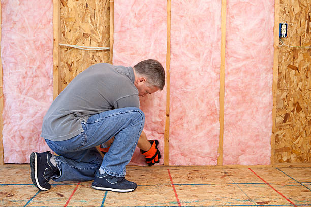 Best DIY Insulation Kits and Guidance in Pascoag, RI